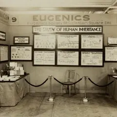 Wystawa "Eugenics" prezentuje drzewa genealogiczne i wykresy dotyczące dziedziczenia cech, promując idee eugeniki.