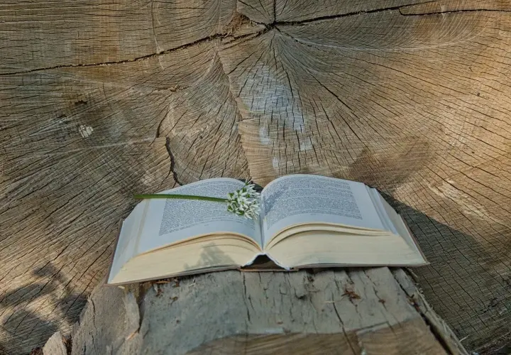 Otwarta księga na pniu drzewa, z kwiatem czosnku niedźwiedziego. W tle widoczne słoje drewna, przypominające o psalm 122.
