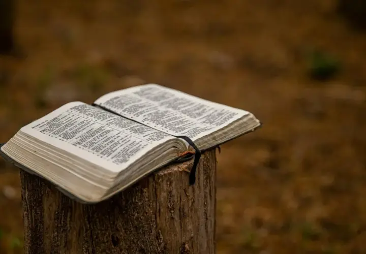 Otwarta Biblia na pniu. Ktoś szuka odpowiedzi, zadając sobie pytanie: Jahwe, kto to?