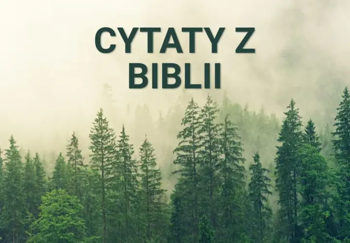 Mglisty las skrywa mądrość. Napis "Cytaty z Biblii" unosi się nad drzewami, zapraszając do refleksji.