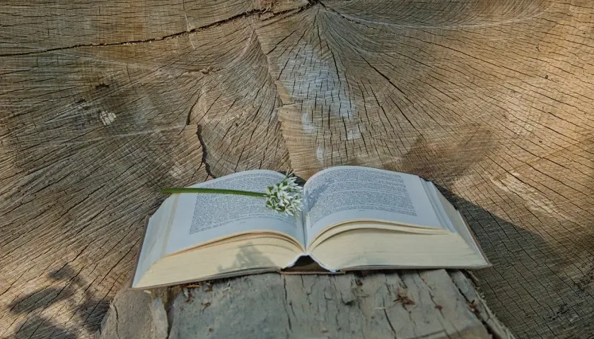 Otwarta księga na pniu drzewa, z kwiatem czosnku niedźwiedziego. W tle widoczne słoje drewna, przypominające o psalm 122.