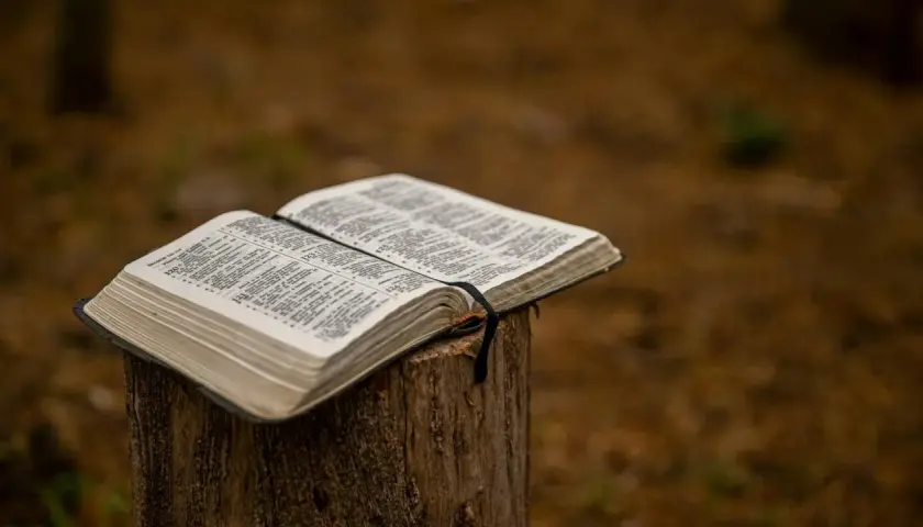 Otwarta Biblia na pniu. Ktoś szuka odpowiedzi, zadając sobie pytanie: Jahwe, kto to?