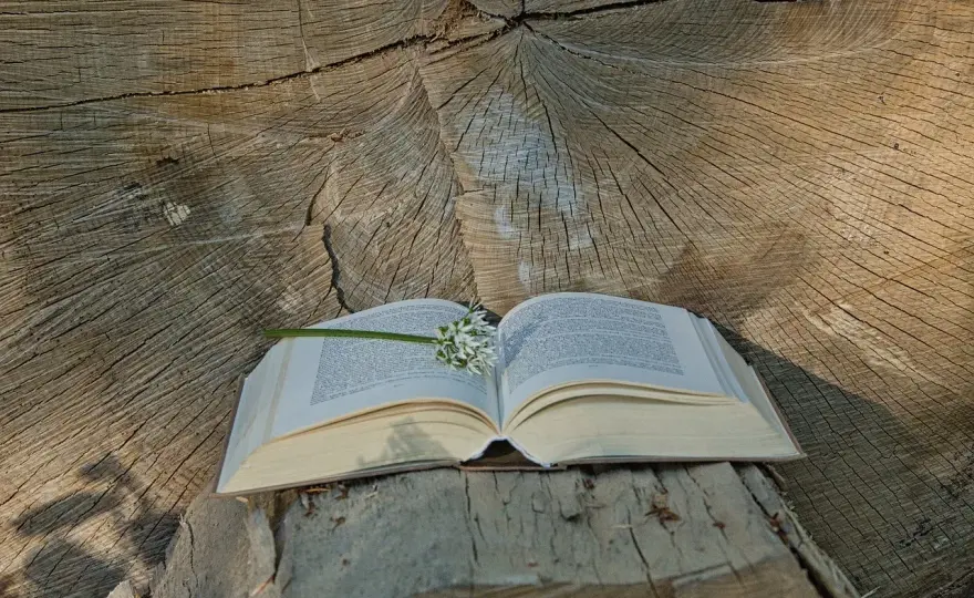Psalm 122 - sens, budowa i modlitwa o pokój