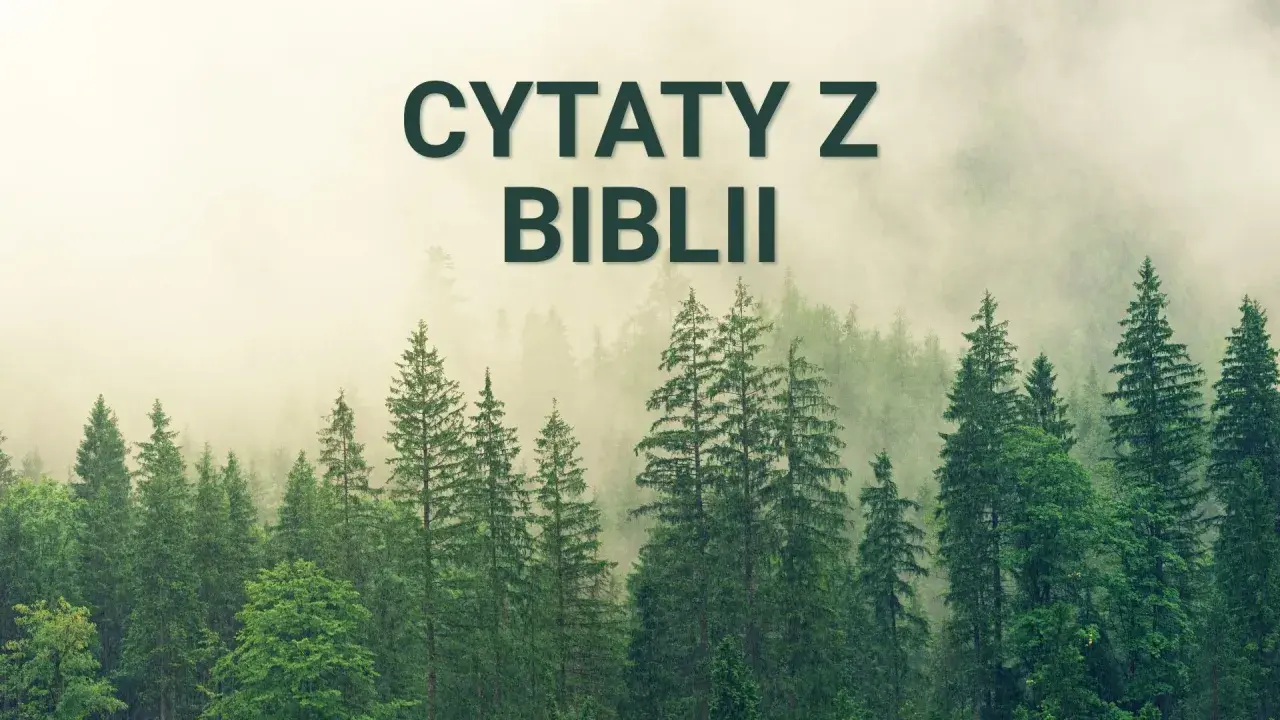 Mglisty las skrywa mądrość. Napis "Cytaty z Biblii" unosi się nad drzewami, zapraszając do refleksji.
