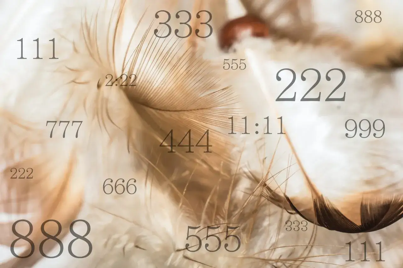 Delikatne pióra otaczają tajemnicze liczby anielskie: 111, 222, 333, 444, 555, 666, 777, 888, 999 i 11:11.